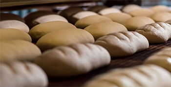 industria alimentare